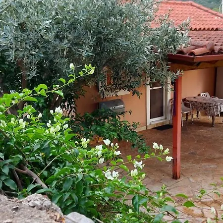 Apartment The Seasons Of Nickolas *